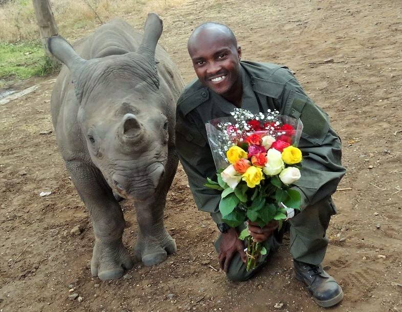 Happy Valentines Day Rhino