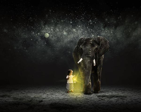 NYE Elephant image by Christine Ellger