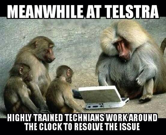 Telstra Baboons