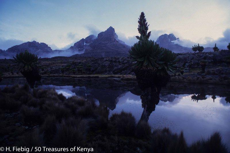 Mt Kenya 1