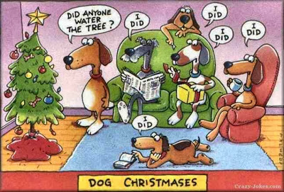 dog-christmas